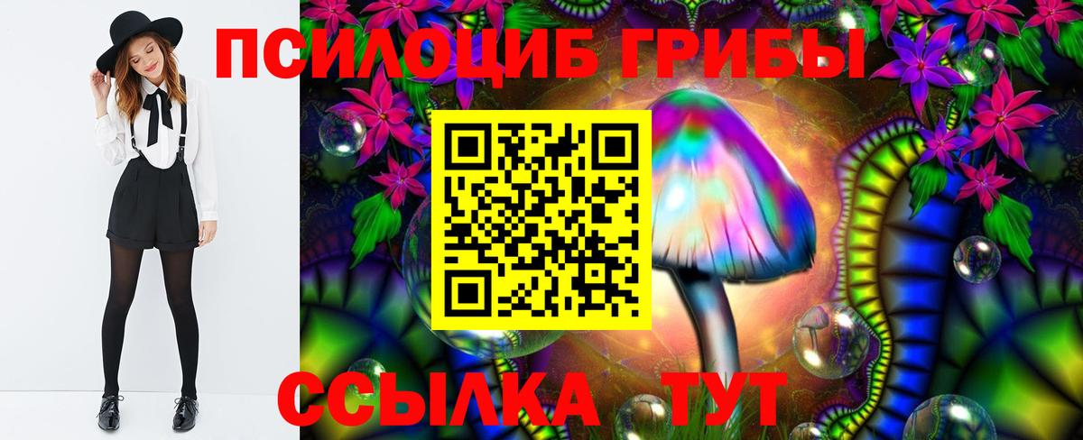Бахчисарай  наркота  Вход с VPN  Галлюциногенные грибы мицелий  Псилоцибиновые грибы Magic Shrooms 