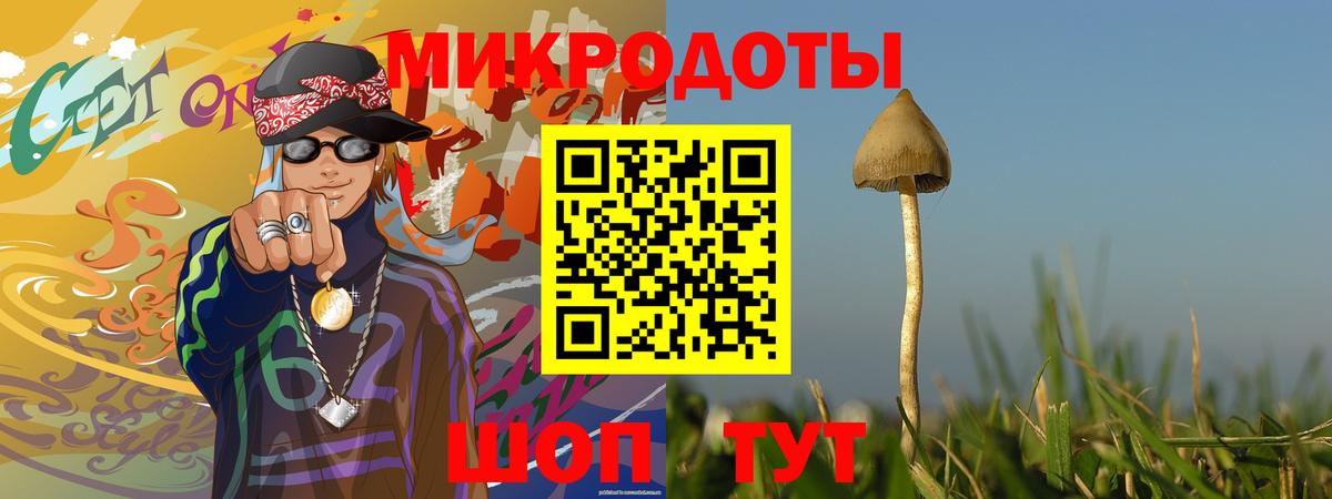 Псилоцибиновые грибы мухоморы Бахчисарай